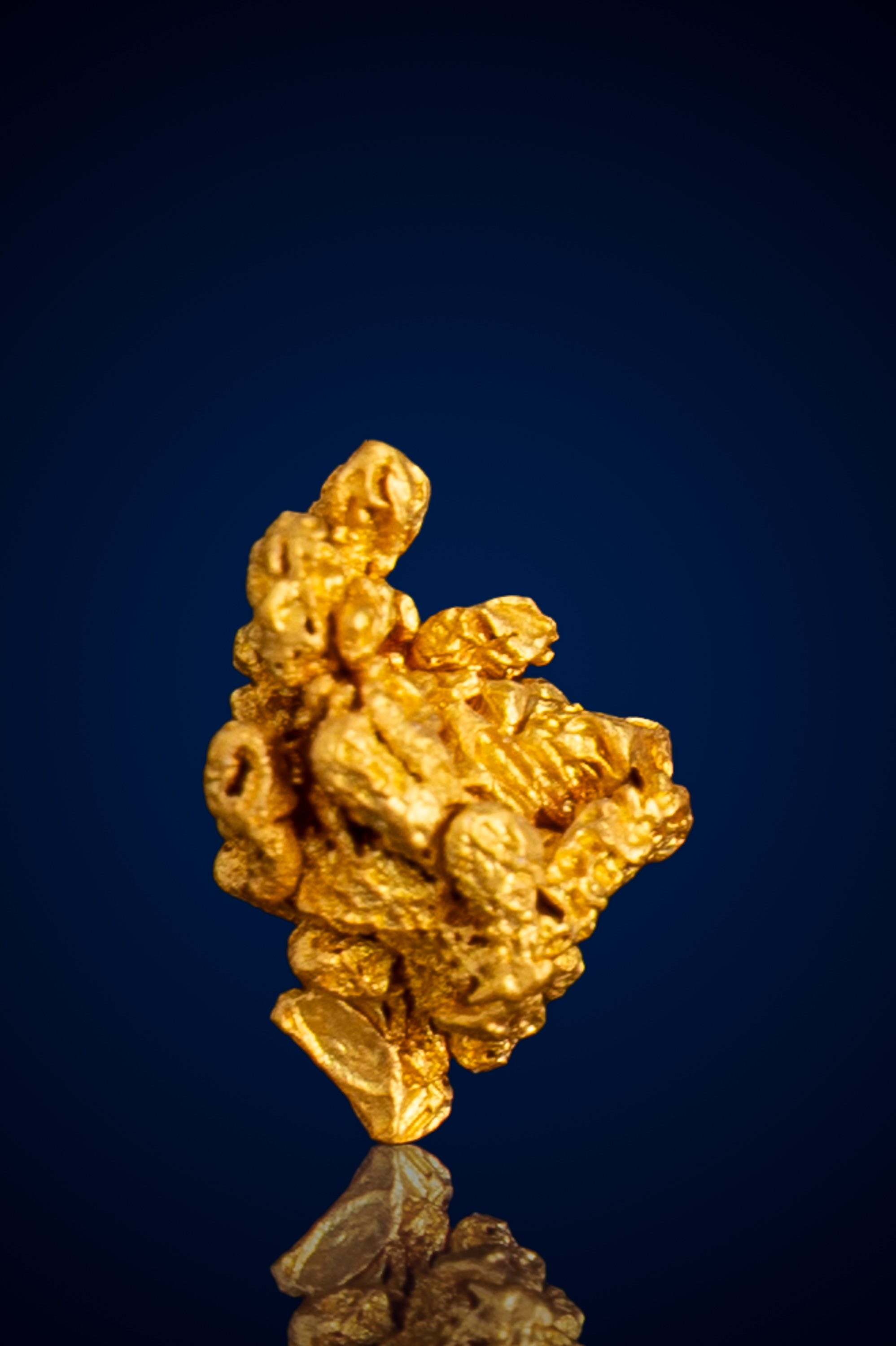 Buttery, Nodular Natural Gold Crystal Nugget - Georgetown, Australia - 1.80 grams (image for) Buttery, Nodular Natural Gold Crystal Nugget - Georgetown, Australia - 1.80 grams